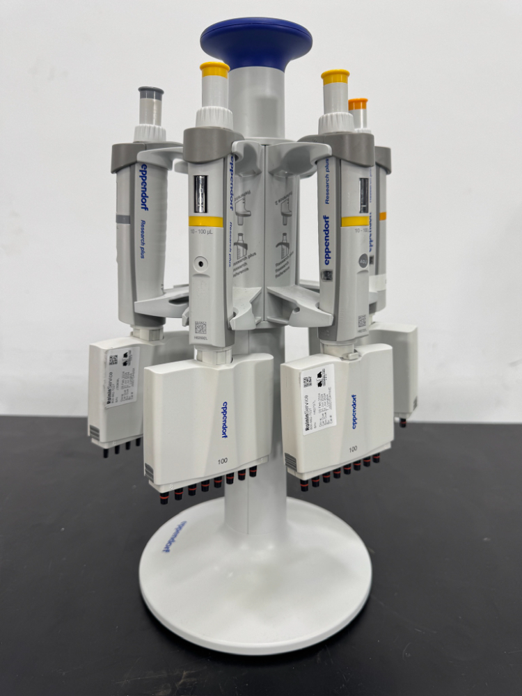Image of Eppendorf Research Plus Multichannel Pipettes and Stand